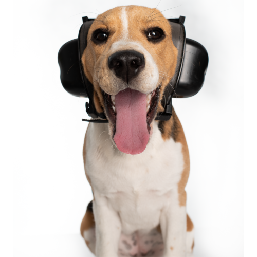 Nauszniki Przeciwhałasowe Dla Psa Safe Dogs Ears