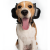Nauszniki Przeciwhałasowe Dla Psa Safe Dogs Ears
