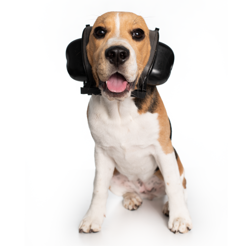 Nauszniki Przeciwhałasowe Dla Psa Safe Dogs Ears